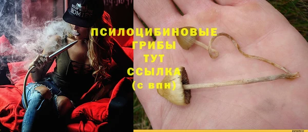 стафф Алексин
