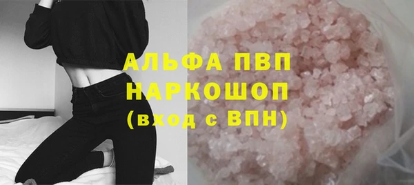 стафф Алексин