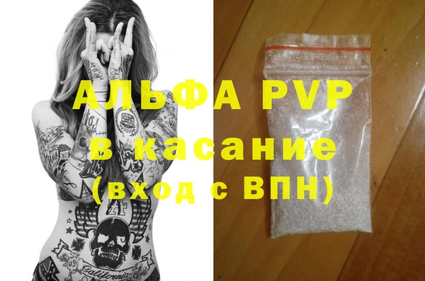 стафф Алексин