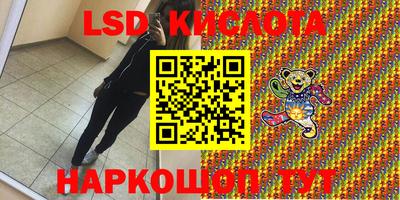 шишки Лесосибирск