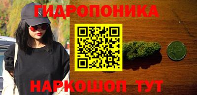шишки Лесосибирск