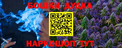 шишки Лесосибирск