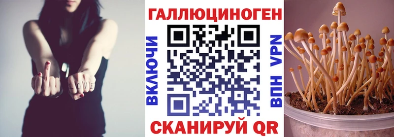 Галлюциногенные грибы Cubensis  Челябинск 