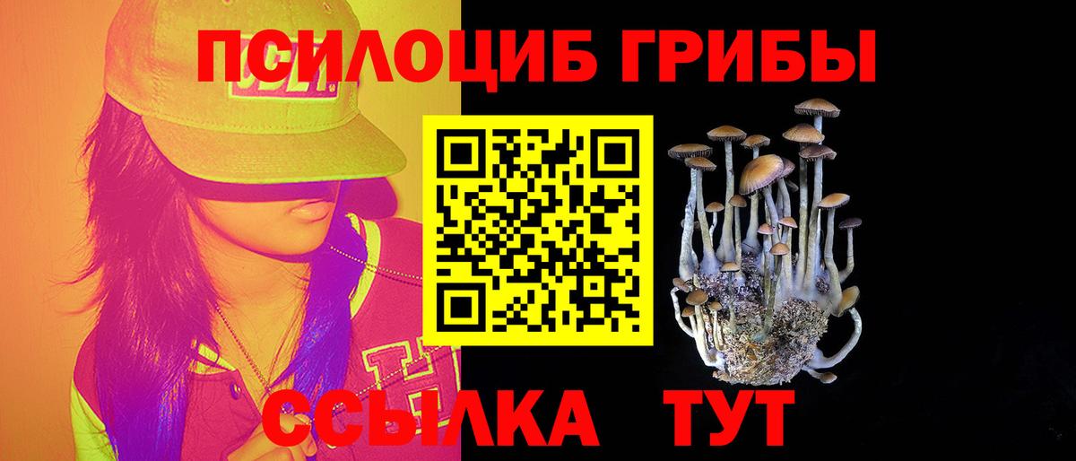 Псилоцибиновые грибы Psilocybe  Вход с VPN  Челябинск 
