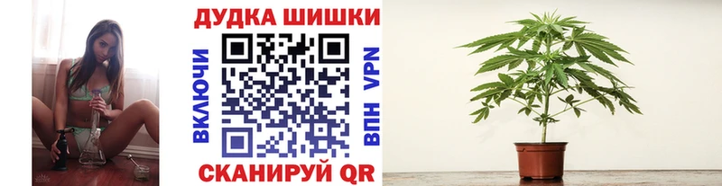 Конопля Amnesia  Челябинск 
